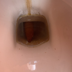 WEAPON-BOTCHED ABORTIONIST X TRANNOS