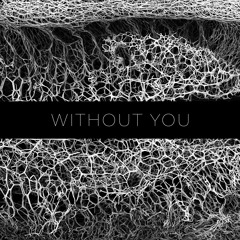 The Nights - Without You (FR13ND Remix)