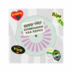 Sammy Virji - Shapes (Yak Refix)[FREE]