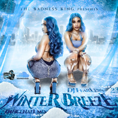 Winter Breeze (Dancehall Mix 2025) ❄️