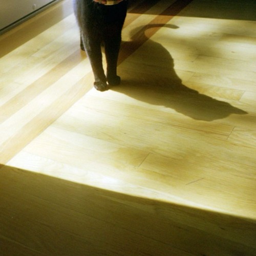 I send my love to you (cover)