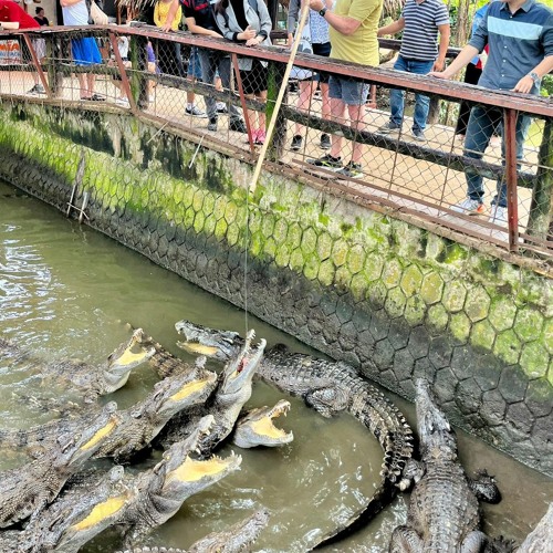 Alexander Loftus - X- black magic.m4a