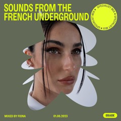 Sounds from the French underground: Mixed by FIONA