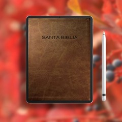 Biblia NVI, Imitación Piel, Café / Spanish Bible NVI, Imitation Leather, Brown (Spanish Edition