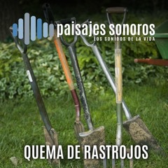 Quema de Rastrojos
