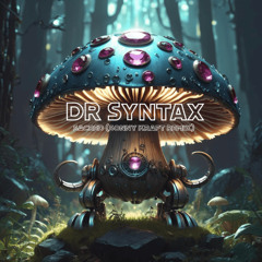 Dr Syntax-Sacred (Sonny Kraft remix)