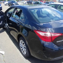 B.I.G. SKEET- CT GZZ UP HOES DOWN