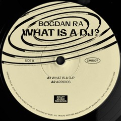 PREMIERE: Bogdan Ra - What Is A DJ?