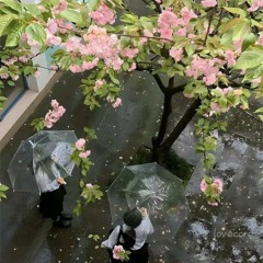 raindrops (prod. lil reydz)