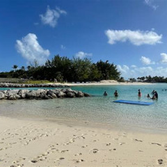 Review Special Price Blue Lagoon Island Dolphin Encounter From Nassau