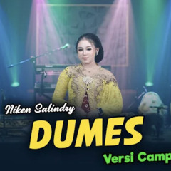 Niken Salindry - DUMES koplomp3