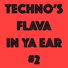 TECHNO'S FLAVA IN YA EAR #2