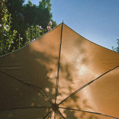 あたらしい白い朝