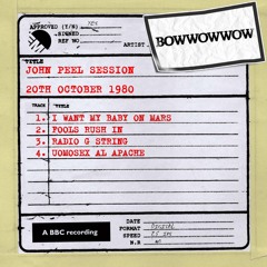 Fools Rush In (John Peel Session)