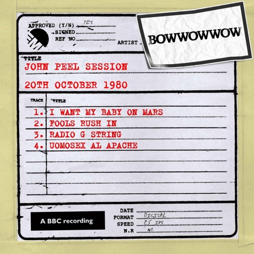 Fools Rush In (John Peel Session)