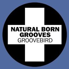 Natural Born Grooves - Groovebird an Remixes