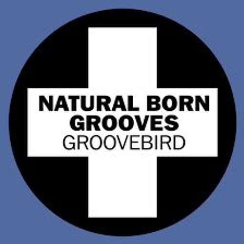 Natural Born Grooves - Groovebird an Remixes