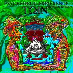 PSYCHEDELIC BRO.mp3