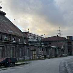 𝟸𝟶𝟸𝟷 // 𝚏𝚒𝚗𝚊𝚕 𝚠𝚒𝚜𝚑