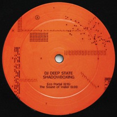 PREMIERE: DJ Deep State - Eco Portal