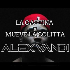 GATTINA X MUEVE LA COLITTA (ALEX VANDI MASHUP)
