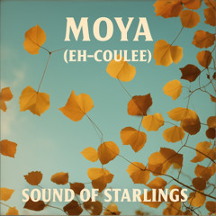 Moya (Eh-Coulee) #Afrobeat