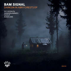 Darksin In Abr Forests (Sanderjammes Remix)