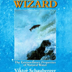 [Read] EBOOK 📂 The Water Wizard: The Extraordinary Properties of Natural Water by  V