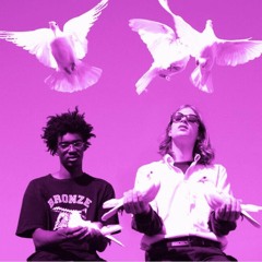 Birds Fly By Night Chopped And Screwed