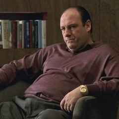 Tony Soprano Gay Idiot