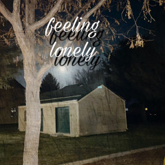 Feeling Lonely ft Shay Rae & neixo0 (Prod. Erueka Beats)