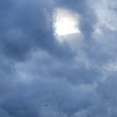 radio 2019 - 04.12.2025