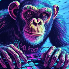 Sans Midi
