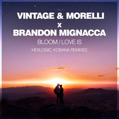 Vintage & Morelli x Brandon Mignacca - Bloom (Hexlogic Vocal Remix)