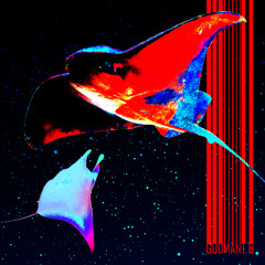 GODMANT B | Oddwin Sample Challenge 6