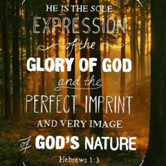 The Majesty of Christ