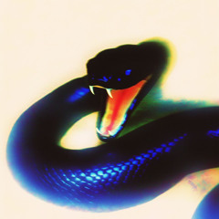 Synth Trap Type Beat – Travis Scott Style | 140 BPM, B Minor, 808 Slides & Melodic Leads