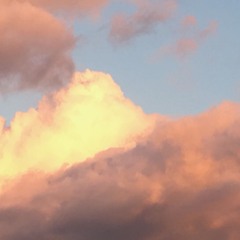 We All Know - Devendra Banhart cover