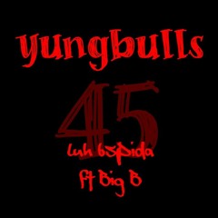 yungbulls ft. Big B
