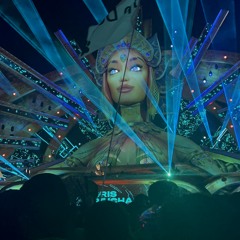 Under The Electric Sky