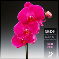 Rasti'sLove - Riddle Point (Original Mix)