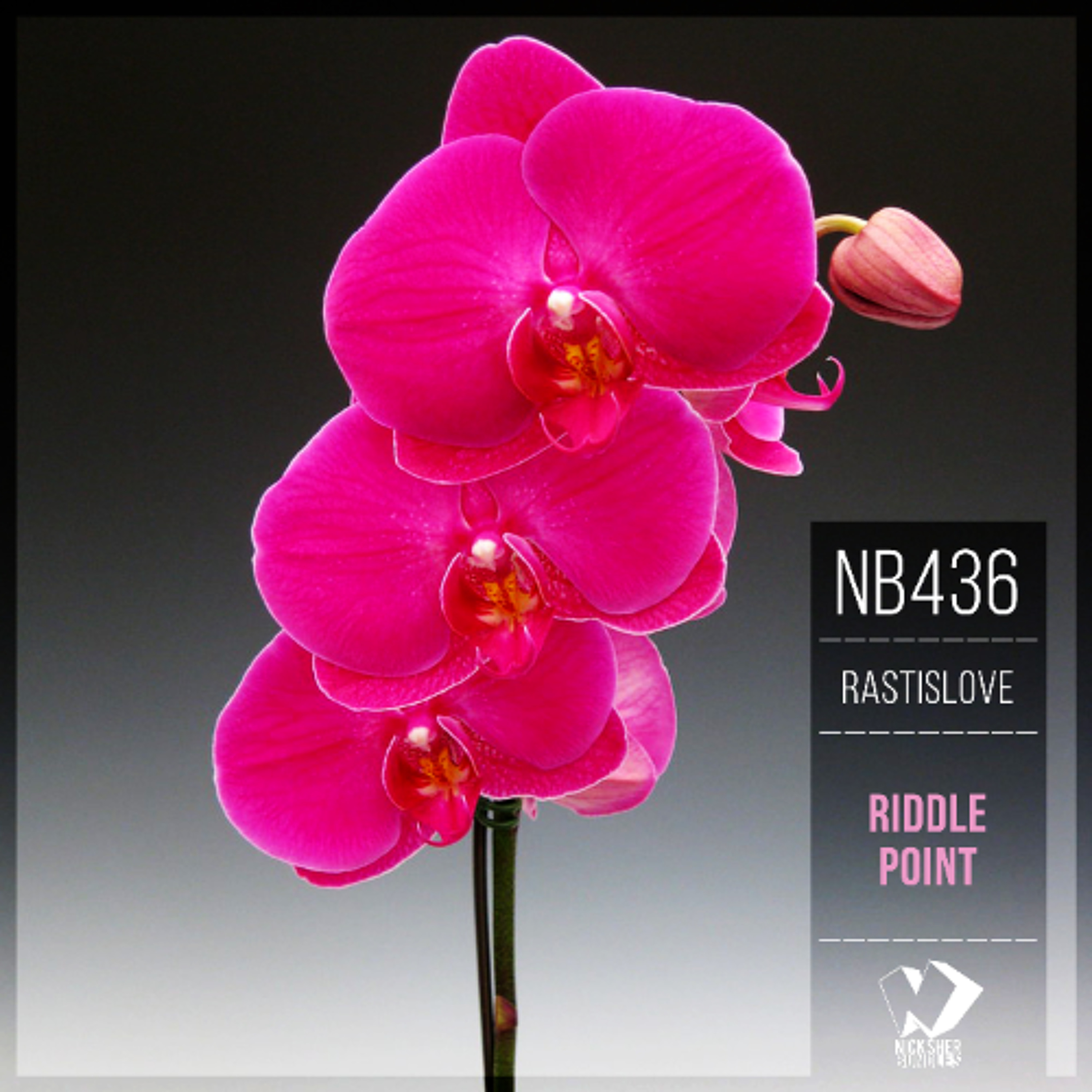 Rasti'sLove - Riddle Point (Original Mix) episode artwork