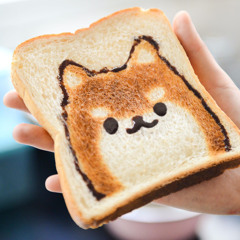 toast can’t never be bread again