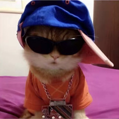 $MONEY BUYS ME$ X Rome