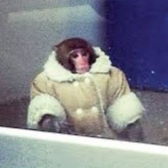 Why'd You Only Call Me When You're High? X On My Mind (SOAHPY Edit)