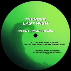 Thunder/Craysega - Last Wish (Silent Space Remix Short Edit)