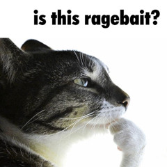 is this ragebait