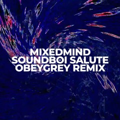 MixedMind - Soundboi Salute (Obeygrey Remix)