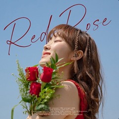 붉은장미 - 우예린