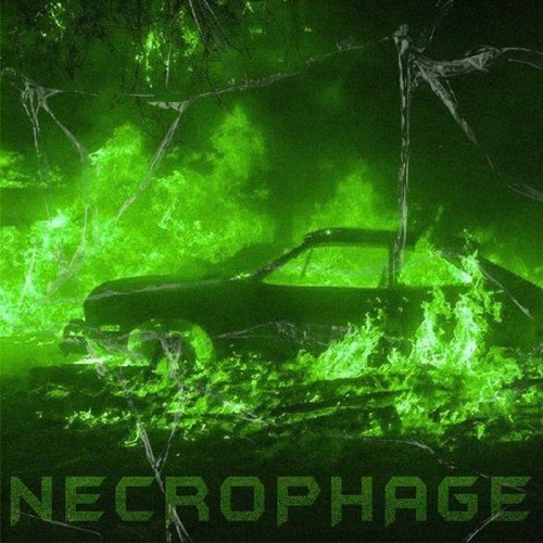 CXRSE - NECROPHAGE